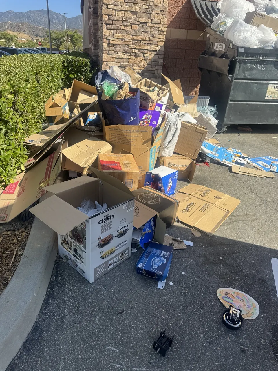 Cardboard and packaging beside a service-area dumpster